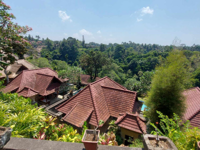 De onroerendgoedmarkt richtte zich op de agglomeratie, waar de vraag met 50 procent toenam