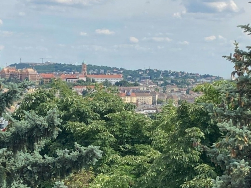 75 M5 à plat en bonne condition dans le district 2 Ady Endre Utca face à Jánoshegy!