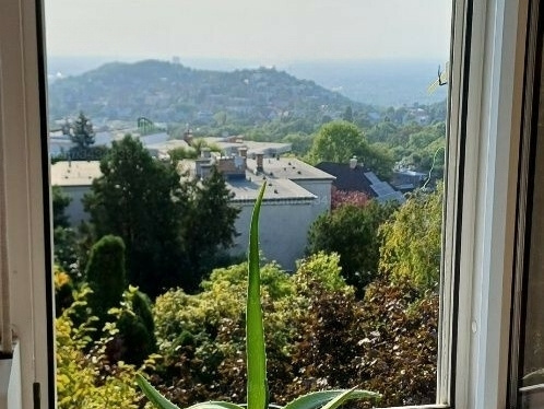 Panoramautsikt från en 43 m2 lägenhet med en 6 m2 balkong för att renovera ovanpå Mártonhegy!