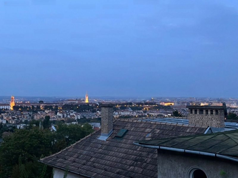 Stunning and true panoramic view from a 52 m2 flat with 4 m2 balcony on Kissvábhegy!